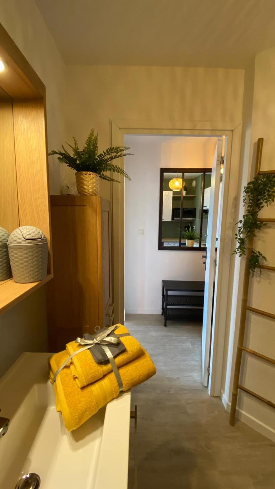 Apartamento Le Sporting Land - Avec Entree Autonome, Parking Prive & Sa Piscine ! - Gaillac Exterior foto